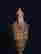 item-131267745=4