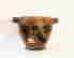 item-131267775=3