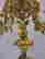 item-131267835=4