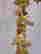 item-131267835=6