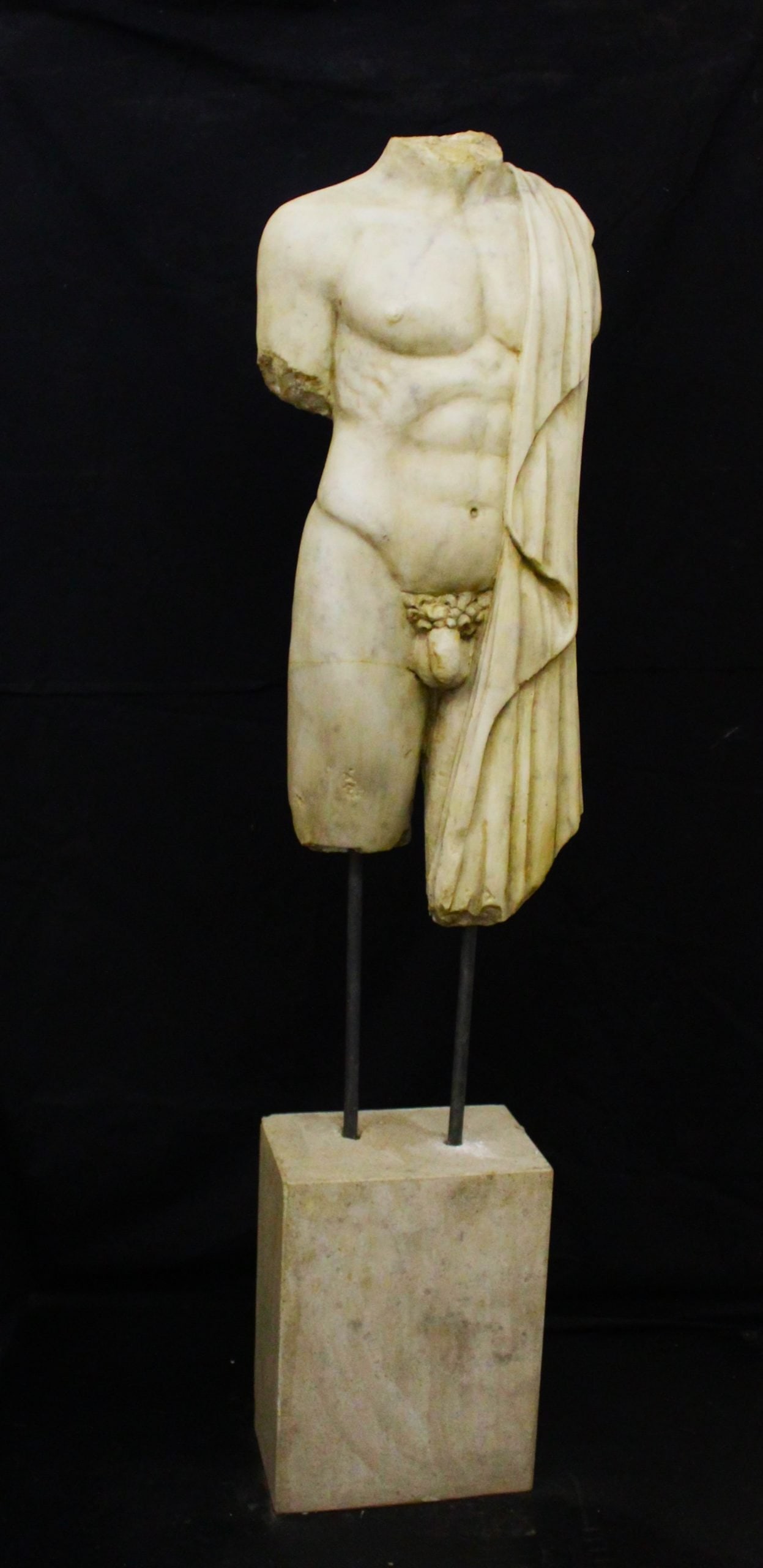 Male Togatus Torso (1 of 8)