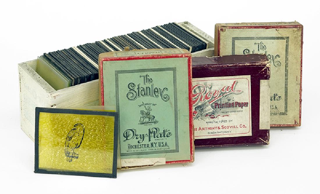 A Collection of Magic Lantern Slides. (1 of 1)