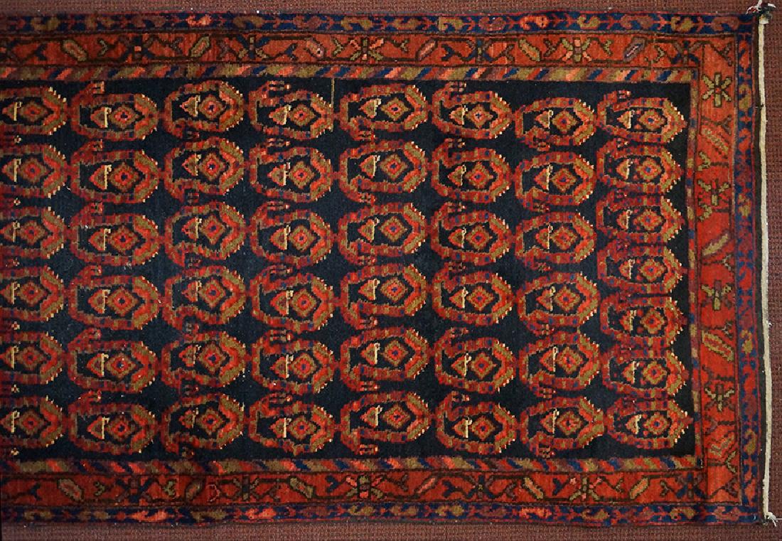 A Persian Runner. (1 of 1)