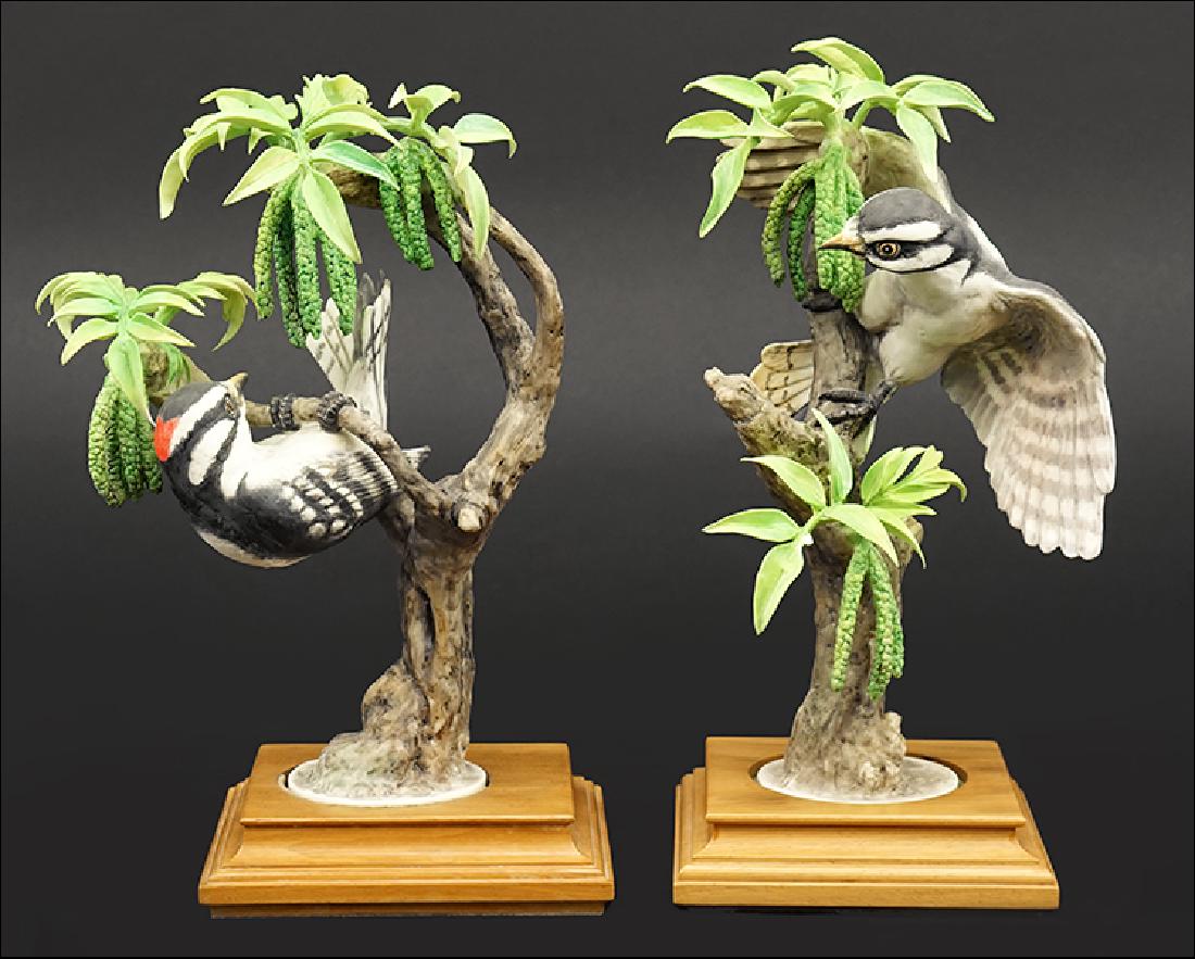 A Pair of Dorothy Doughty for Royal Worcester Porcelain: A Pair of Dorothy Doughty for Royal Worcester Porcelain Little Downy Woodpeckers. Edition of 400, circa 1967. With wood base and original crates Height with base: 11.25"