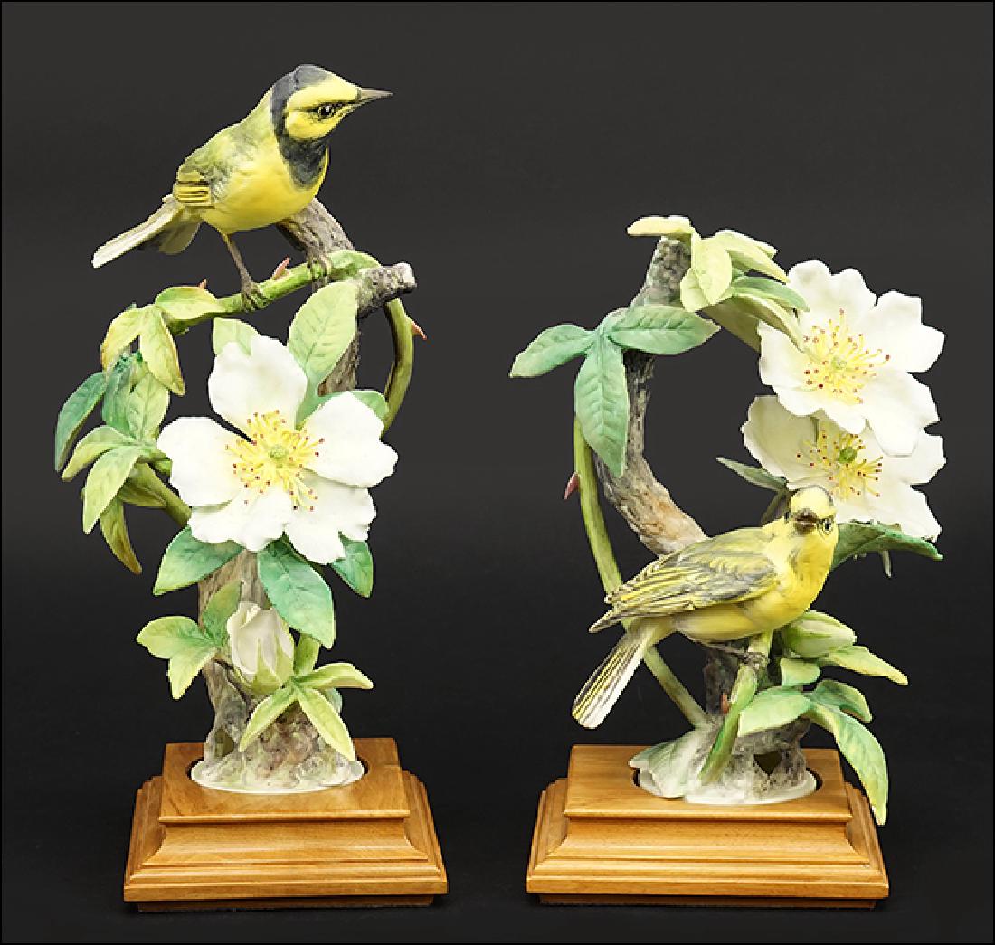 A Pair of Dorothy Doughty for Royal Worcester Porcelain: A Pair of Dorothy Doughty for Royal Worcester Porcelain Hooded Warblers with Cherokee Roses. Edition of 500, circa 1961. With fitted wood bases and original crates Taller with base: 12.5"