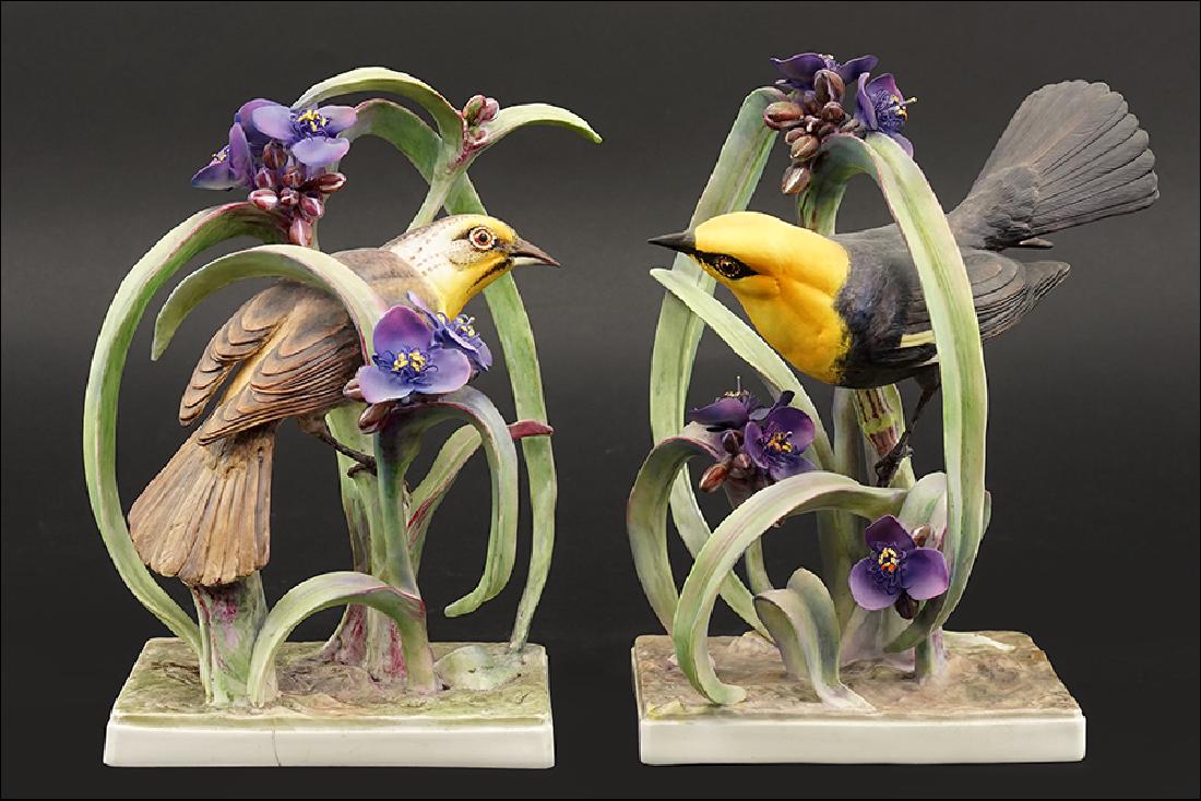 A Pair of Dorothy Doughty for Royal Worcester Porcelain: A Pair of Dorothy Doughty for Royal Worcester Porcelain Yellow-Headed Blackbirds with Spiderwort. Edition of 350, circa 1950. With original crates Taller: 11.25
