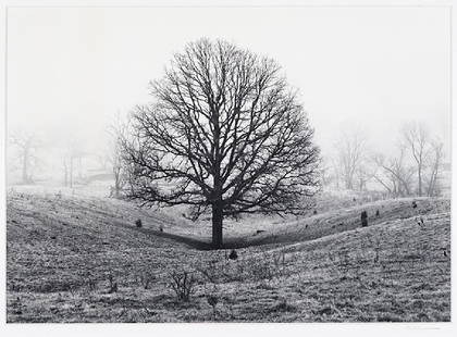 Michael Johnson (American, B. 1949) Tree in Fog.: Michael Johnson (American, B. 1949) Tree in Fog. Gelatin silver print dated to 1972, printed 1979, pencil signed lower right on the mat; with artist's stamp en verso, also signed, dated, and titled, u