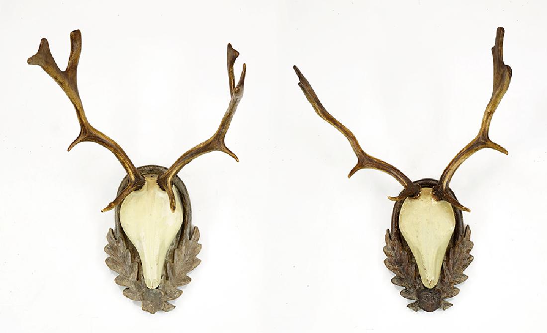 Two Black Forest Style Antler Mounts. (1 of 1)