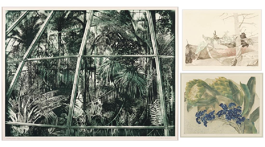 Anna Held Audette (American, 1938-2013) Under Glass. (1 of 1)