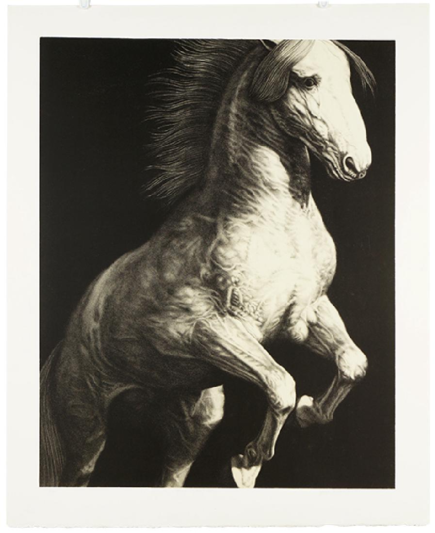 Joseph Piccillo (American, B. 1941) Edge Event III. (1 of 1)