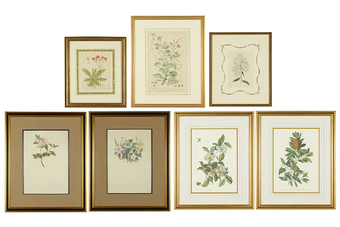 A Collection of 18th & 19th Century Botanicals. (1 of 1)