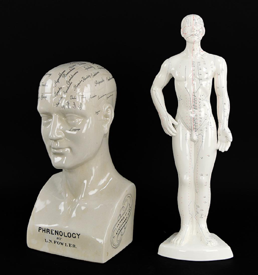 A Ceramic Phrenology Bust. (1 of 1)