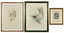 John Gould (British, 1804-1881) Two Hummingbird Prints. - 2