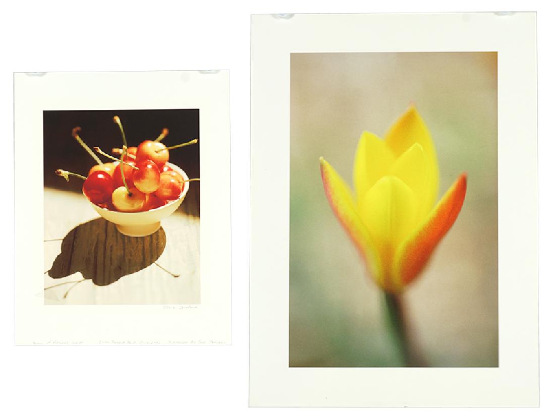 Dave Jordano (American, B. 1948) Bowl of Cherries.: Dave Jordano (American, B. 1948) Bowl of Cherries. Color pigment print, pencil signed lower right, dated June 2002 and titled, unframed. Together with 'Tulip' a color photograph, signed illegibly en v