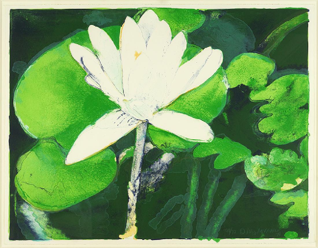 Joseph Raffael (American, B. 1933) Island Lily. (1 of 1)