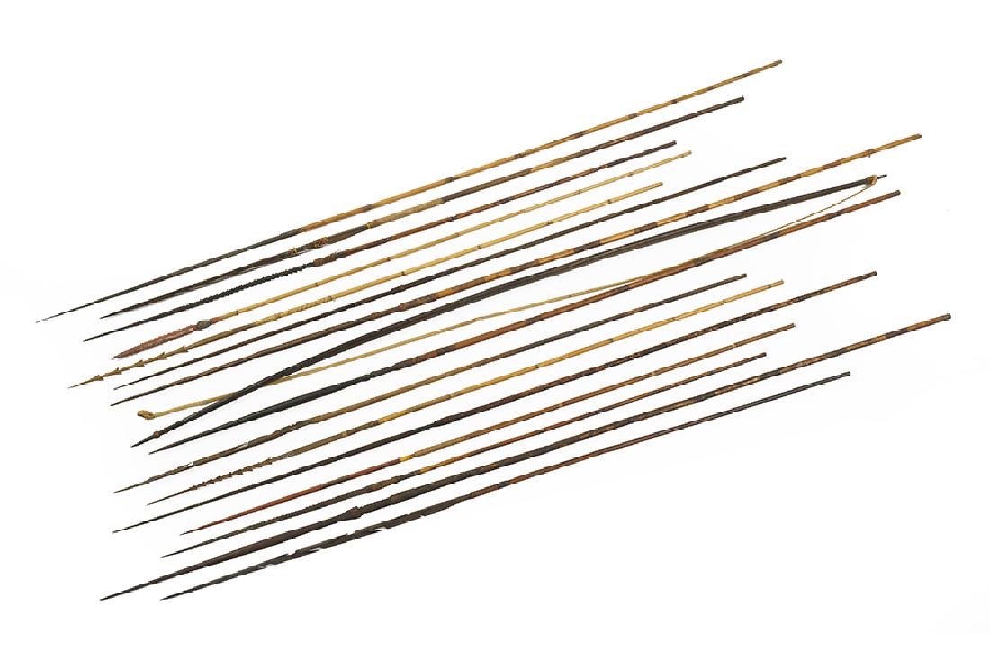 A Papua New Guinea Bow and Arrows. (1 of 2)