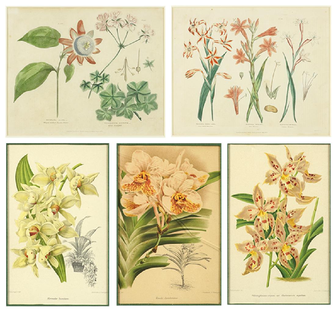 After Thomas Green (British, 18th/19th Century) From (1 of 3)