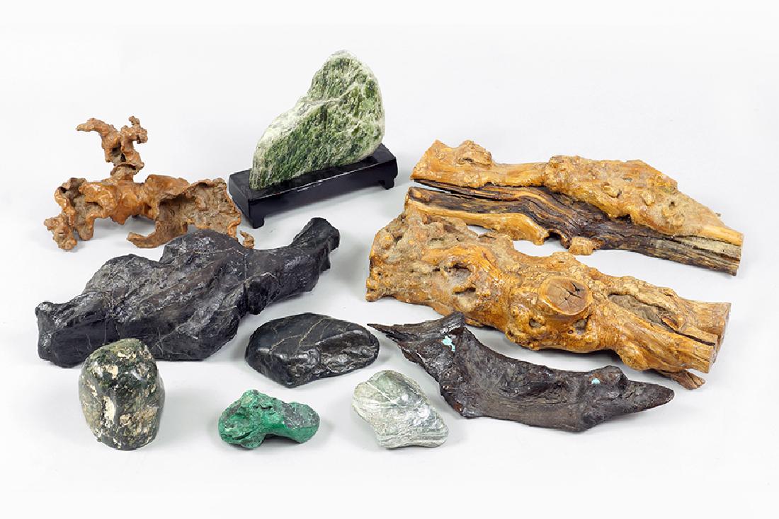 A Collection of Rock Specimens. (1 of 1)