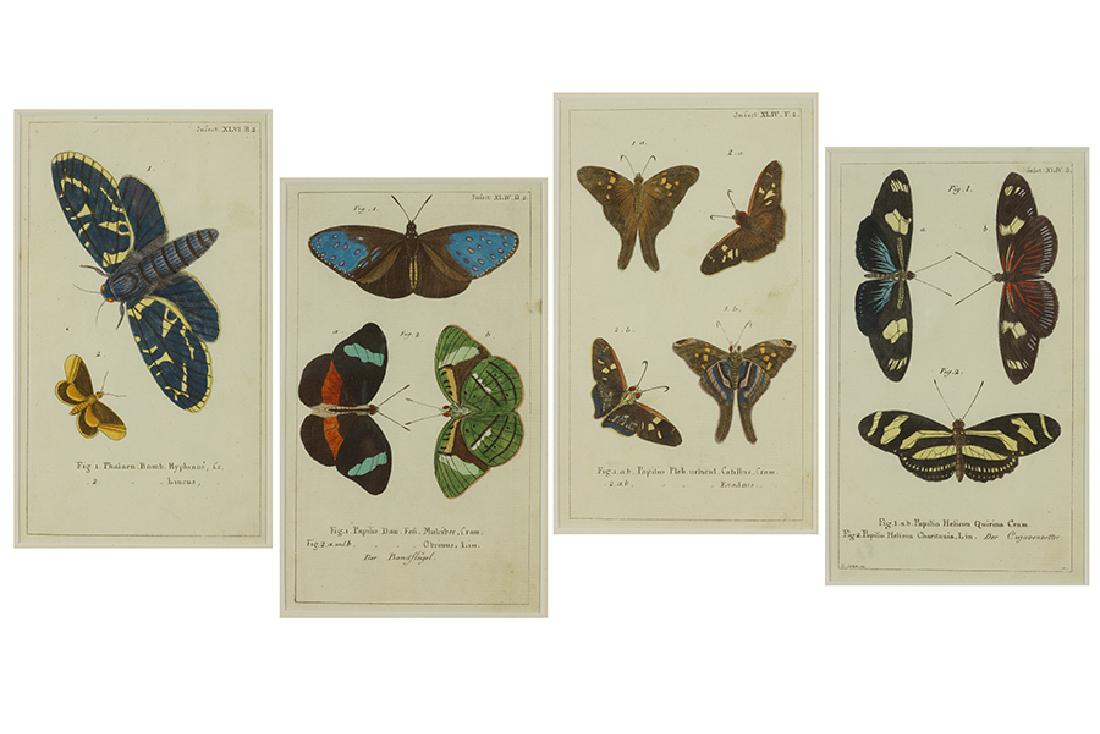 After Gerrit Wartenaar Lambertz (Dutch, 1747-1803) (1 of 1)