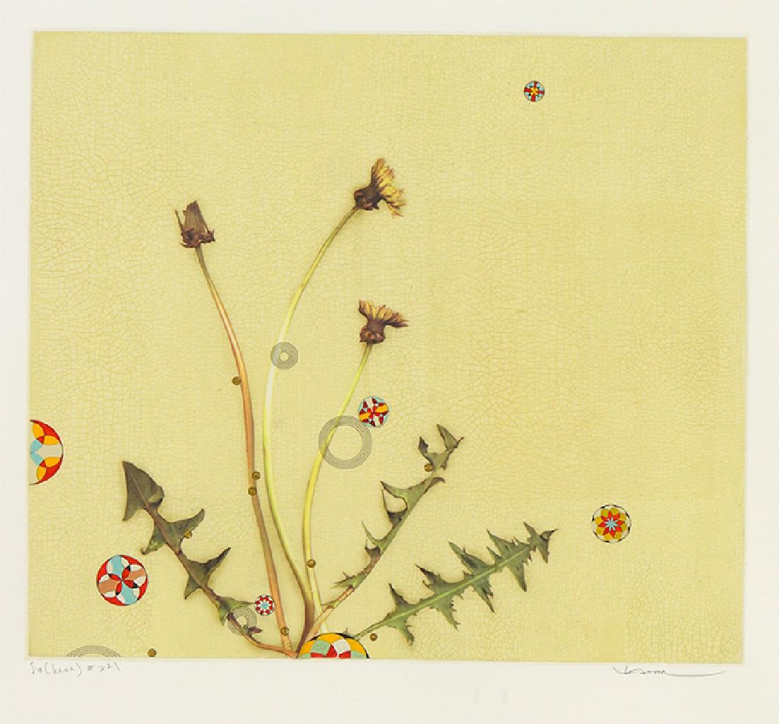 Kaoru Mansour (Japanese-American, 20th Century) Ivo: Kaoru Mansour (Japanese-American, 20th Century) Ivo (hana) #221. Color aquatint, pencil signed lower right and titled 12.25" x 14" Frame: 32.25" x 24.5"