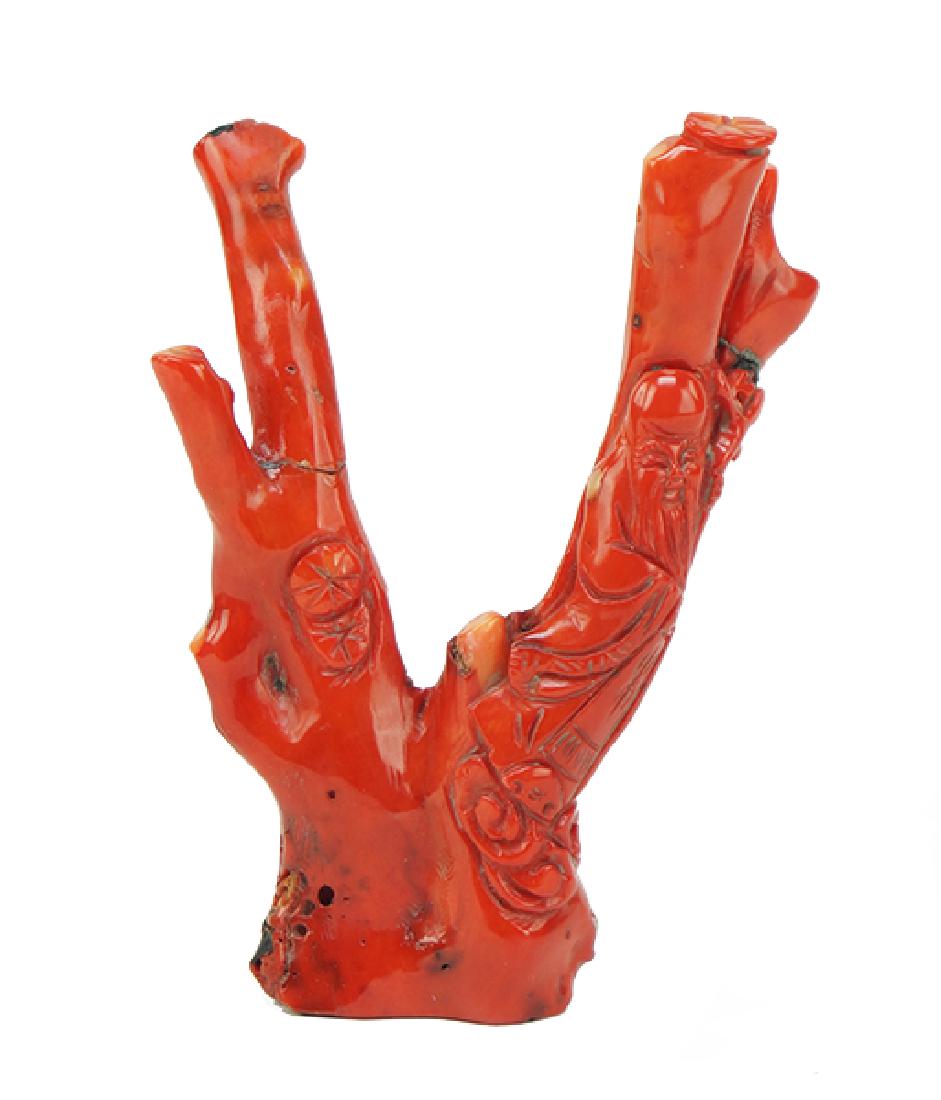 A Coral Specimen. (1 of 1)