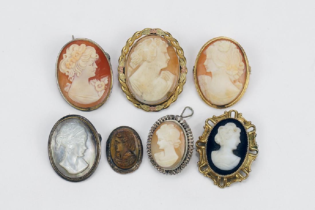 A Collection of Cameo Brooch / Pendants. (1 of 1)