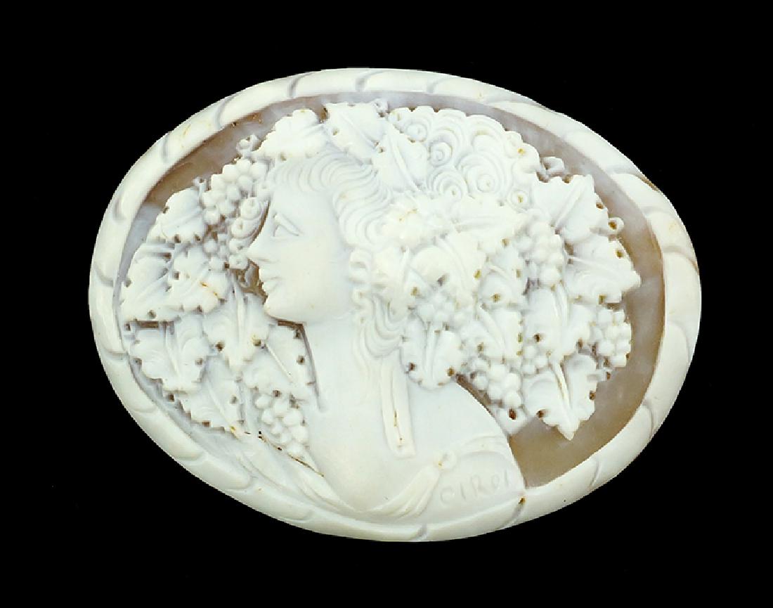 A Carved Shell Cameo. (1 of 1)