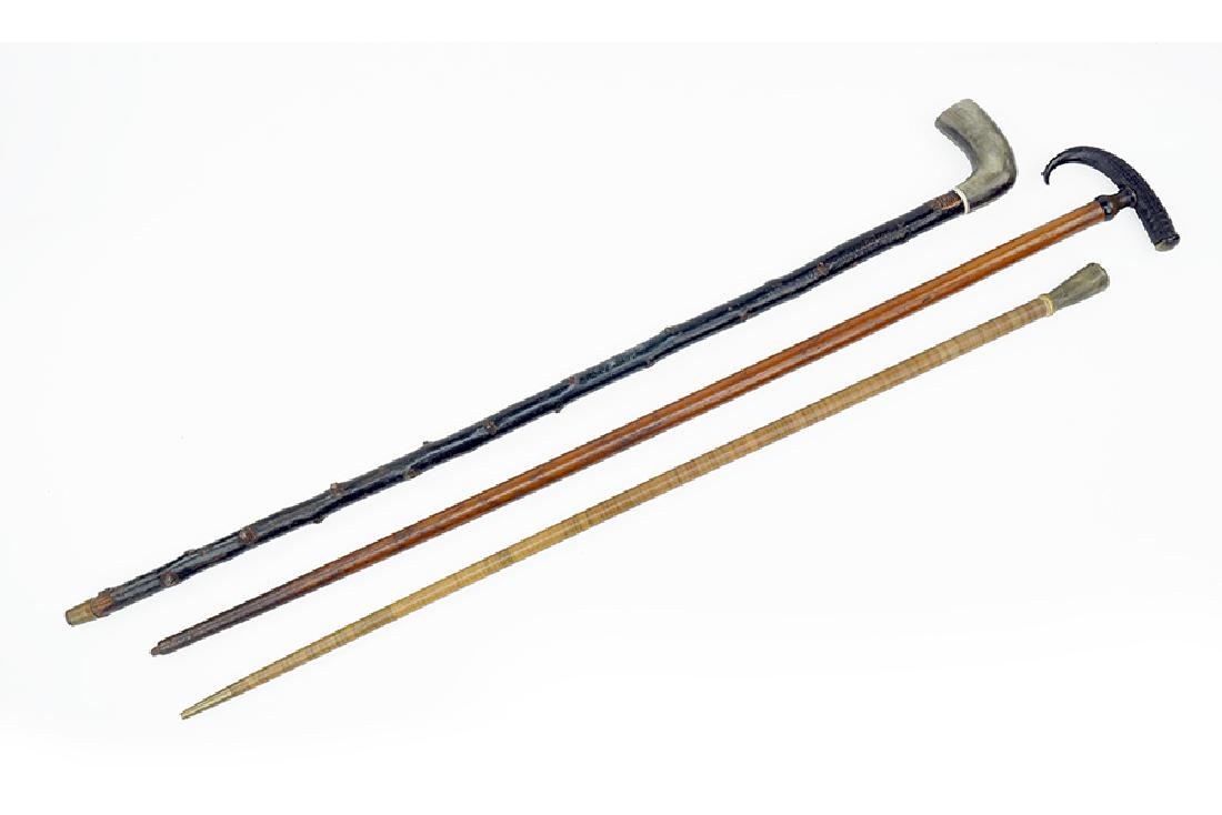 Three Horn Handled Walking Sticks / Canes. (1 of 2)