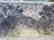 A Chinese Hanging Scroll. - 6