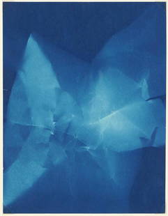 Walead Beshty (American, B. 1976) Untitled (Blue Fish).: Walead Beshty (American, B. 1976) Untitled (Blue Fish). Cyanotype, 2009. Edition of 100 unique prints (no. 20). Sold with a certificate from Side Street Projects, Pasadena, CA 7.75" X 6" Frame: 12.75"