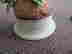 item-76539301=2