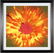 Ellen Birrell (American, Contemporary) Flower. - 2