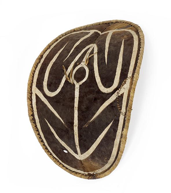 An African Tribal Shield. (1 of 1)