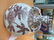 A Chinese Porcelain Moon Flask Vase. - 3