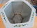 A Chinese Famille Verte Porcelain Cache Pot. - 4