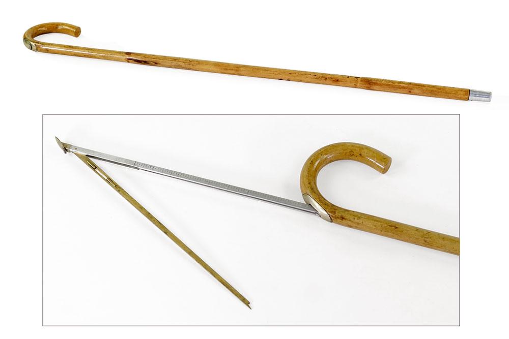 A Horse MeasureCane. (1 of 1)