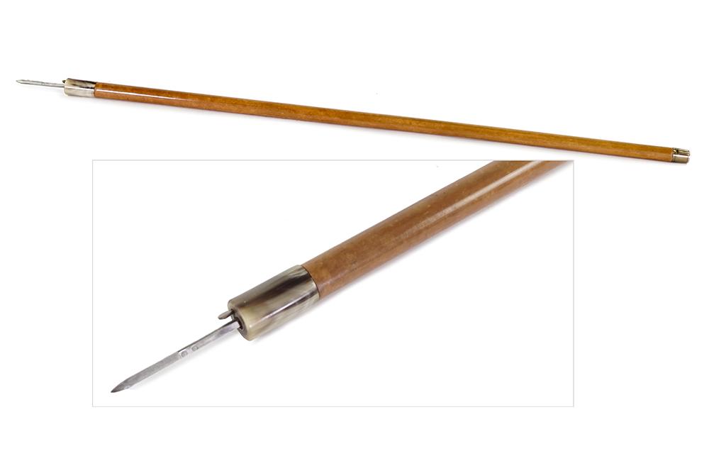 A Walking Stick. (1 of 1)