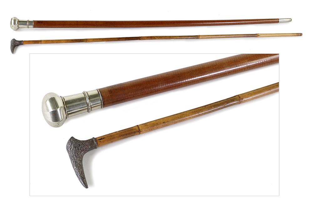 Two Walking Sticks. (1 of 1)