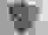 item-92339281=4