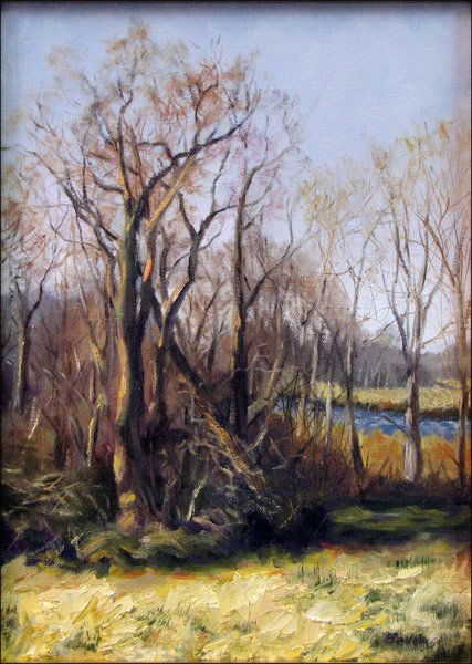 JAYNE BELLOWS (20TH CENTURY) TREES IN THE FALL.: JAYNE BELLOWS (20TH CENTURY) TREES IN THE FALL. Oil on canvas board, signed LR 13.5" x 9.5"