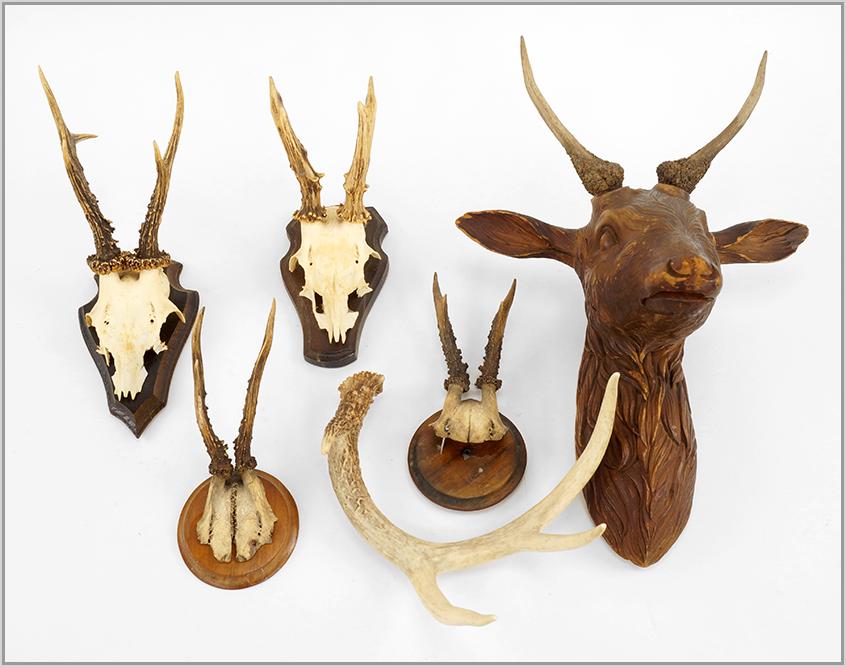 Deer Antlers Mounted on Carved Plaques.: Deer Antlers Mounted on Carved Plaques. Consisting of four deer antlers mounted on carved plaques. Together with a free four point antler and a carved wood deer head with authentic antlers Carved Deer