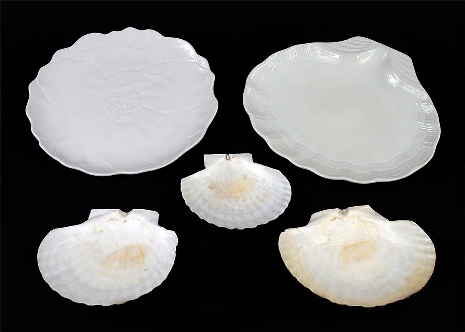 A Set of Dorothy Thorpe Plates.: A Set of Dorothy Thorpe Plates. DOT5 pattern of a flower blossom (diameter" 10 1/2"). Together with a set of twelve Este Italian shell form ceramic plates (9" x 11") and a collection of approximately 