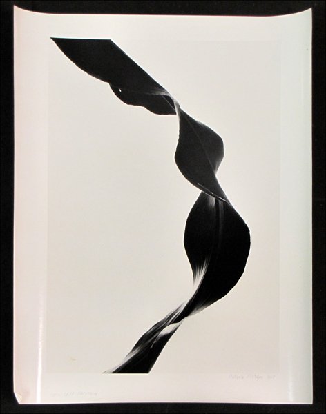 BARBARA MORGAN (AMERICAN 1900-1992) CORN LEAF R: BARBARA MORGAN (AMERICAN 1900-1992) CORN LEAF RYTHM. Gelatin silver print, 1945, printed in 1980; Signed, dated and titled in ink in the lower margin; Additionally signed, dated and titled and ink on