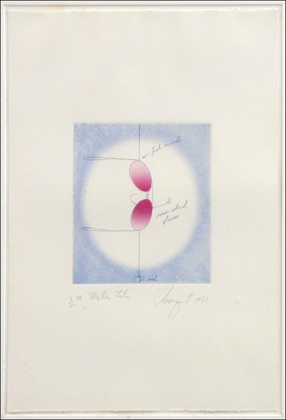 JAMES ROSENQUIST (AMERICAN, B.1933) WATER LILY.: JAMES ROSENQUIST (AMERICAN, B.1933) WATER LILY. Color etching, 1981, signed, dated, titled and numbered in pencil in the lower margin, edition 8/22 AP; Verso: Gallery label reading in part 'Richard Gr