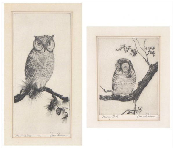 JAMES SWANN (1905-1985). THE WISE ONE AND TAWNE: JAMES SWANN (1905-1985). THE WISE ONE AND TAWNEY OWL. Two etchings, signed in pencil