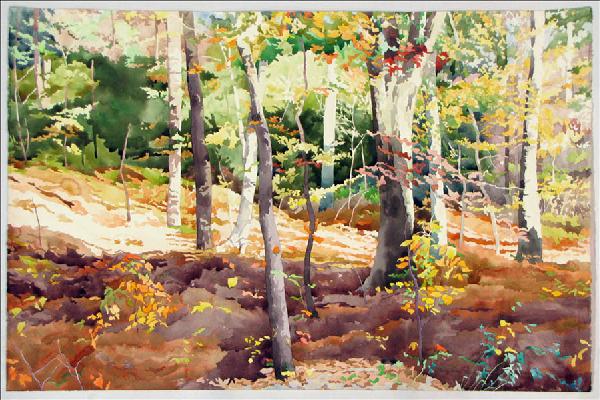 MARY ANN POPE (AMERICAN, B.1932) FALL GLEN II.: MARY ANN POPE (AMERICAN, B.1932) FALL GLEN II. Watercolor on paper, signed lower right; Signed additionally and titled on the reverse; Loose sheet 26" x 40.50" (sheet)