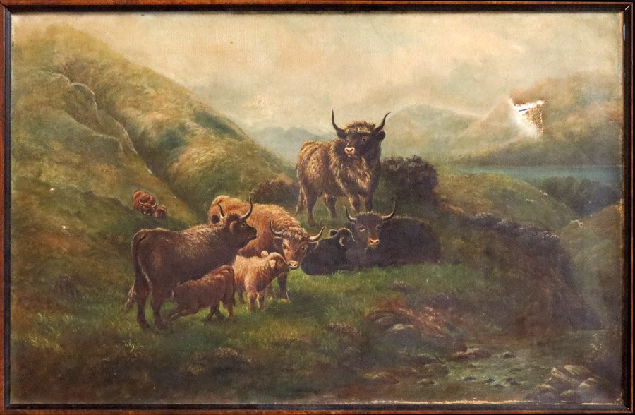 CONTINENTAL SCHOOL (19TH/20TH CENTURY) HIGHLAN: CONTINENTAL SCHOOL (19TH/20TH CENTURY) HIGHLAND CATTLE. Oil on canvas, unsigned; Frame: 18.50" x 27.25" 15.50" x 24"