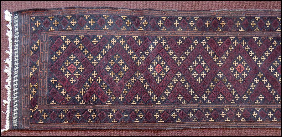PERSIAN RUNNER.
