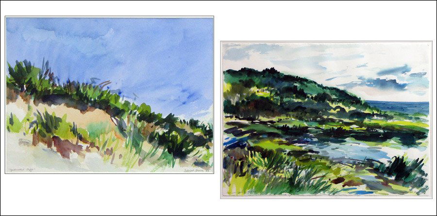 DEBORAH BROWN (AMERICAN, 20TH CENTURY) TWO WORKS.: DEBORAH BROWN (AMERICAN, 20TH CENTURY) TWO WORKS. Pond Near Cooneymus Road VII, 1989. Squibnocket Cliffs, 1985. Both watercolor on paper. Title LL, signed, dated LR Sheet Sight: 22.25" x 30" Sight: 11