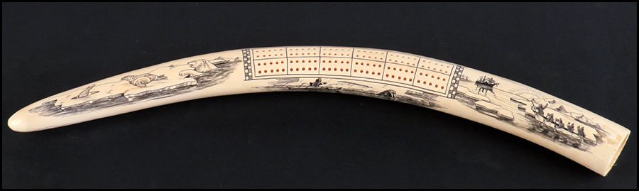 IVORY TUSK WITH SCRIMSHAW AND CRIBBAGE BOARD.: IVORY TUSK WITH SCRIMSHAW AND CRIBBAGE BOARD. Decorated with a wildlife scene and an expedition scene on either side of the game board 19"